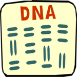 DNA Report