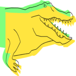 Alligator 9