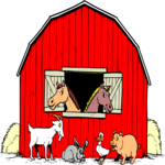 Animals - Barn