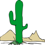 Cactus 54