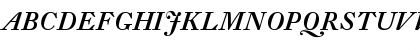 DTL Fleischmann D Medium Italic Font
