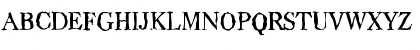 CasadRandom-Medium Regular Font
