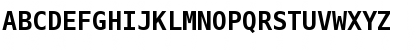 DejaVu Sans Mono Bold Font