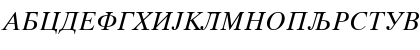 CTimes Italic Font