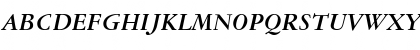 Garamond Reprise SSi Bold Italic Font