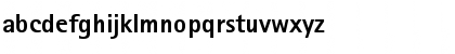 AgfaRotisSansSerifExtraBold Regular Font