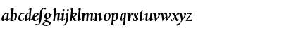 DTLAlbertinaST MediumItalic Font