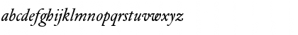 DTL Elzevir ST Book Italic Font