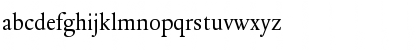 DTLElzevirT Regular Font