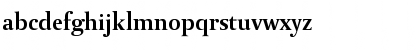 DTLParadoxT Bold Font