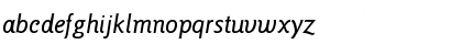 ITC Goudy Sans Std Medium Italic Font