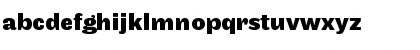 Maple Bold Font