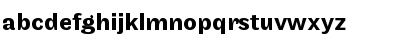 Maple Medium Font