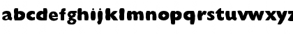 FZ BASIC 57 MANGLED Normal Font