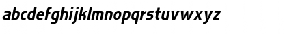 AgateSSK Italic Font