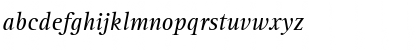 Agfa Rotis Serif Italic Font