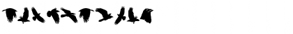 Dark Crow Swash PERSONAL USE Regular Font