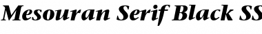 Mesouran Serif Black SSi Bold Italic Font