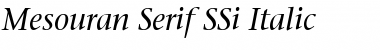 Mesouran Serif SSi Italic