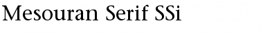 Mesouran Serif SSi Regular Font