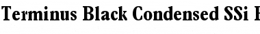 Terminus Black Condensed SSi Font