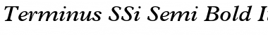 Terminus SSi Semi Bold Italic Font