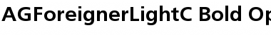 Download AGForeignerLightC Font