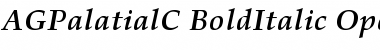 AGPalatialC Bold Italic