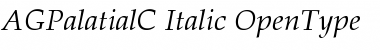 AGPalatialC Italic