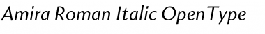 Amira Roman Italic