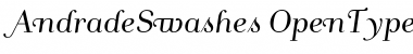 Download AndradeSwashes Font