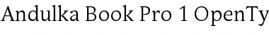 Download Andulka Book Pro Font