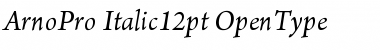 Arno Pro Italic 12pt Font