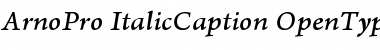 Arno Pro Italic Caption Font