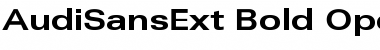 AudiSansExt Bold Font