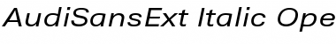 AudiSansExt Italic Font