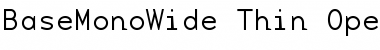 BaseMonoWide-Thin Font