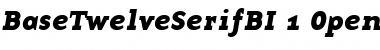 BaseTwelve SerifBI