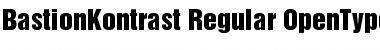 BastionKontrast-Regular Font