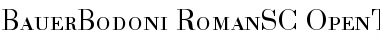 Bauer Bodoni Roman Small Caps & Oldstyle Figures Font