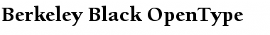 Berkeley Oldstyle Black Font