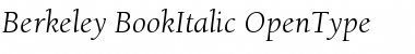 Berkeley Oldstyle Book Italic Font