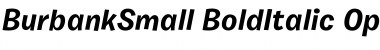 Burbank Small Bold Italic Font