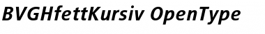 BVGHfettKursiv Regular Font