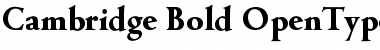 Download Cambridge-Bold Font
