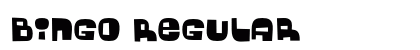 Bingo Regular Font Bingo Regular Font Preview