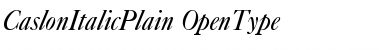 Caslon Italic Font