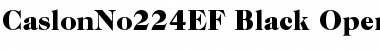 CaslonNo224EF-Black Regular Font