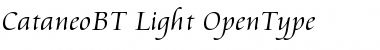 Cataneo Light Font