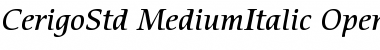 ITC Cerigo Std Medium Italic Font